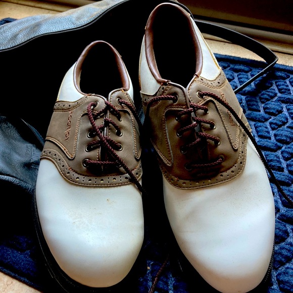 FootJoy Other - Footjoy Golf Shoes